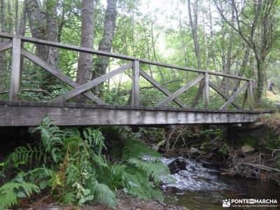 Bierzo lugar de Naturaleza;caminos y senderos rutas por irati cavalls al vent madrid puente diciembr